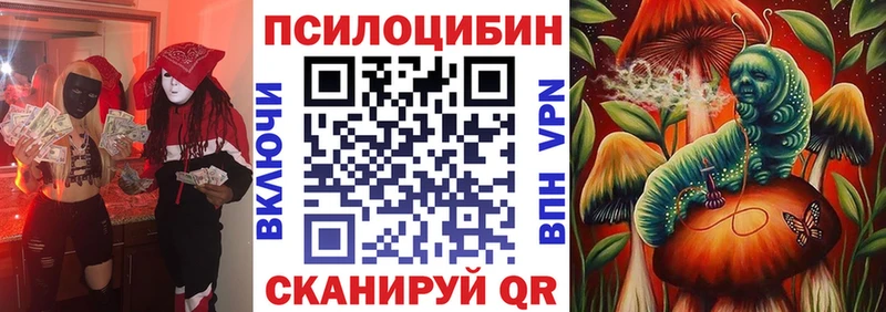 Купить где  Полевской  Псилоцибиновые грибы GOLDEN TEACHER 